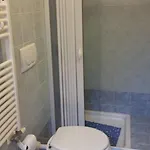 L'oasi