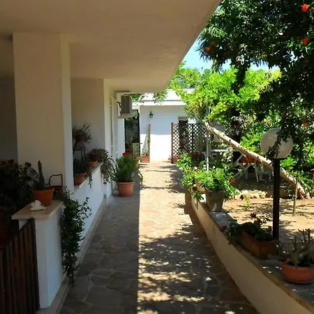 Bed and breakfast L'oasi 3*