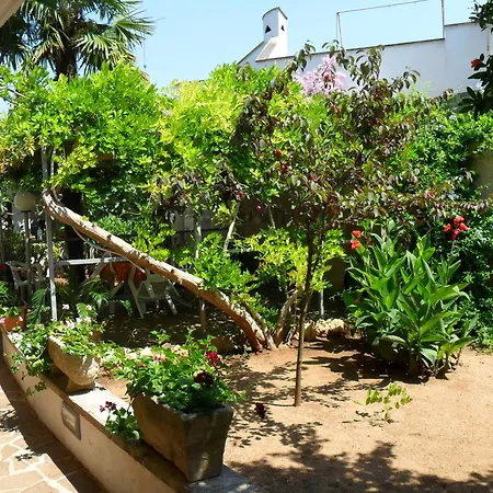 Bed & Breakfast L'oasi 3*