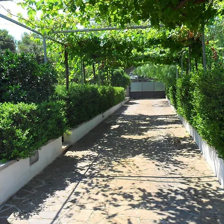 Bed & Breakfast L'oasi