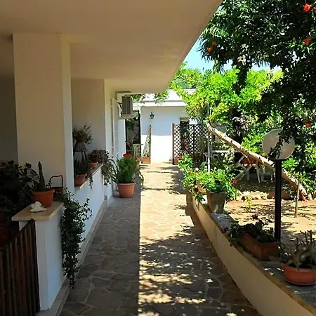 L'oasi 3*