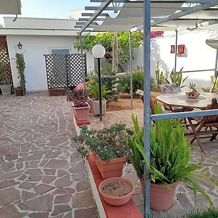 L'oasi 3*